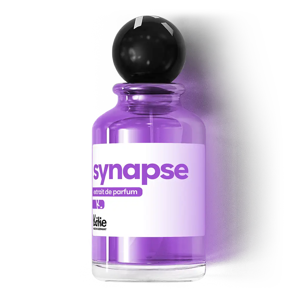synapse